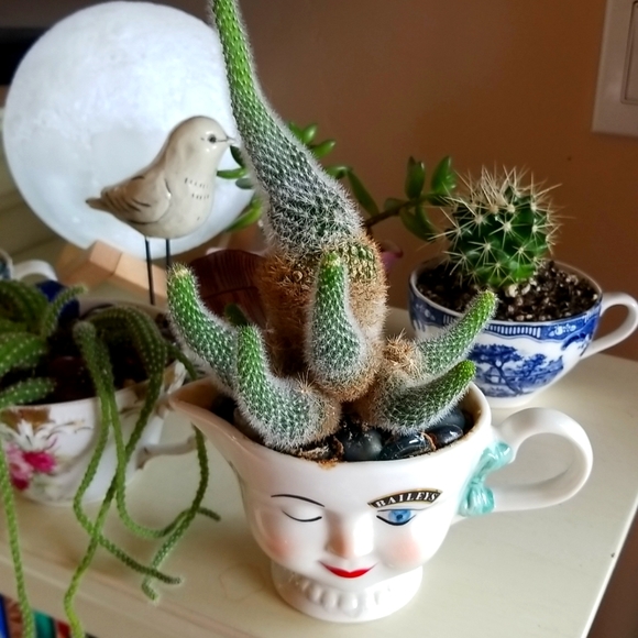 I ❤ OFFERS Thank You For Peeking In At My Closet ❤ - Picture 2 of 12